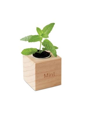 Pot de jardinage menthe avec graines de menthe de divers matériaux à personnaliser vue 2