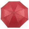 Parapluies personnalisés ziant image 1